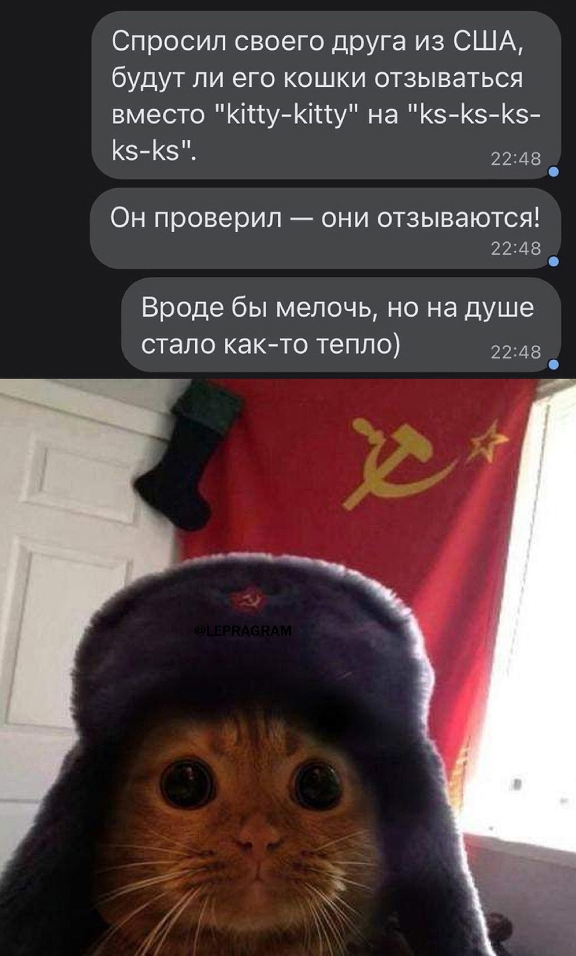Собака в шапке ушанке СССР