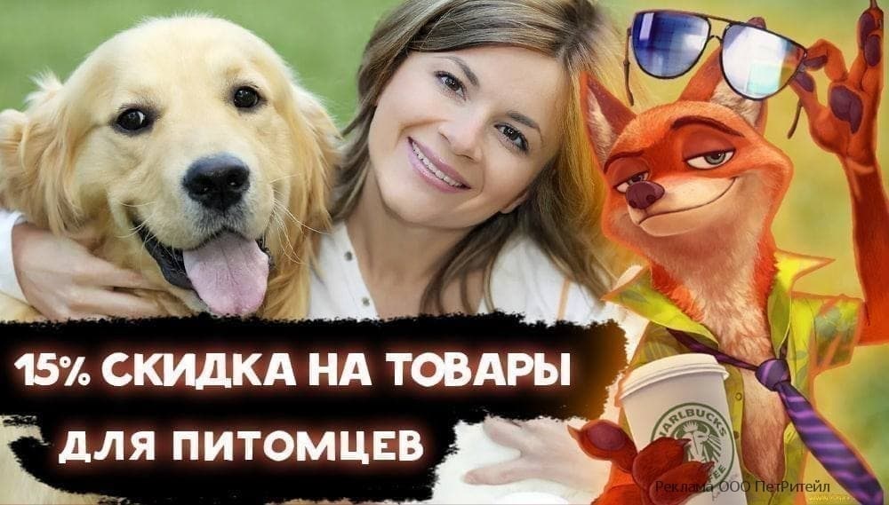 Ну заказывай