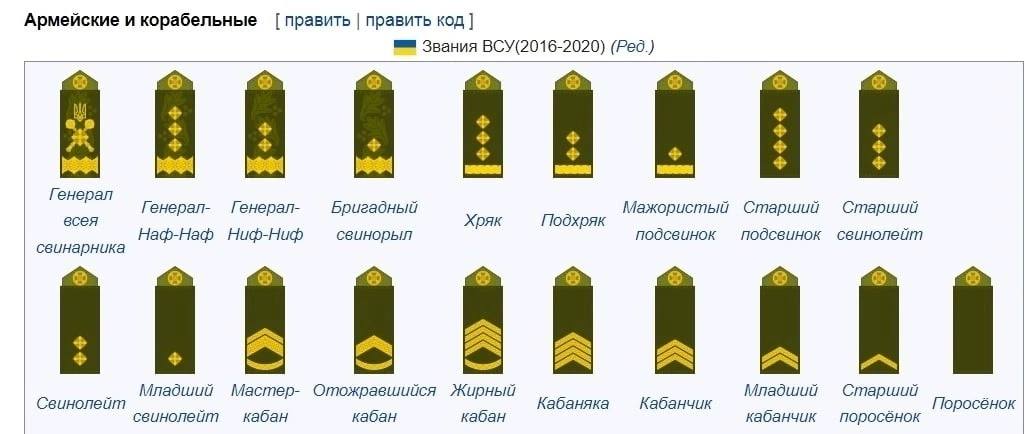 Погоны армии украины нового образца