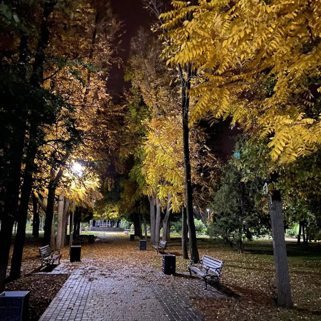 Осенний вечер в парке. Калининский сквер Москва ночью. Парк в Калининском районе. Калининский парк Каневская.