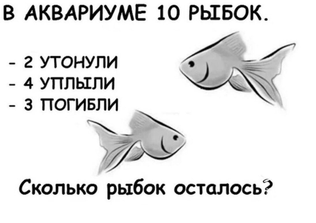 Сколько память у рыбы. Сколько IQ У рыбы. Сколько память у золотой рыбки. Память у рыбки сколько по времени. Сколько рыбки беременность носят.