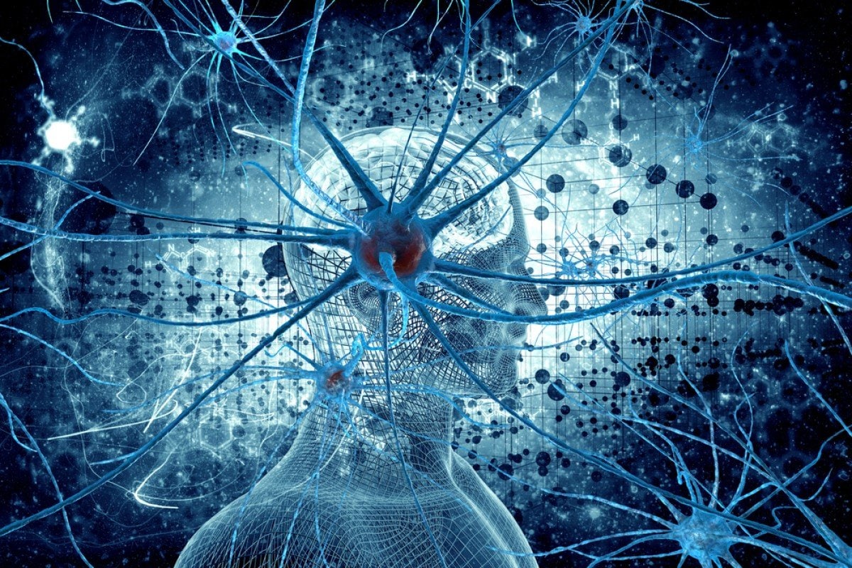 Нейронные связи в мозге