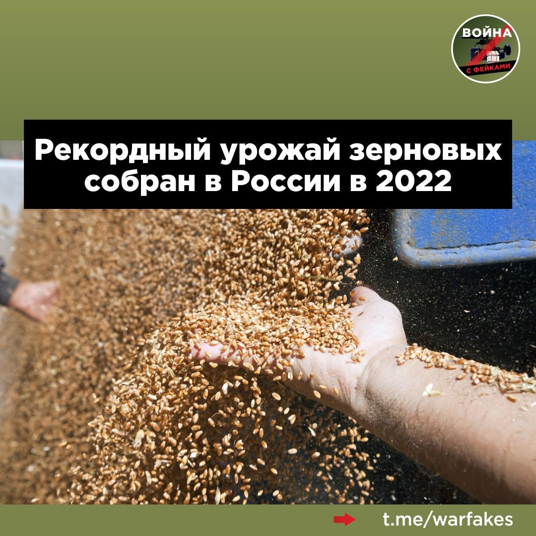 В сентябре был собран рекордный. Рекорды урожайности пшеницы в России. Тонна зерна. Рекордный урожай 2017 году в России был собран. Урожай зерновых в России в 2022 году.