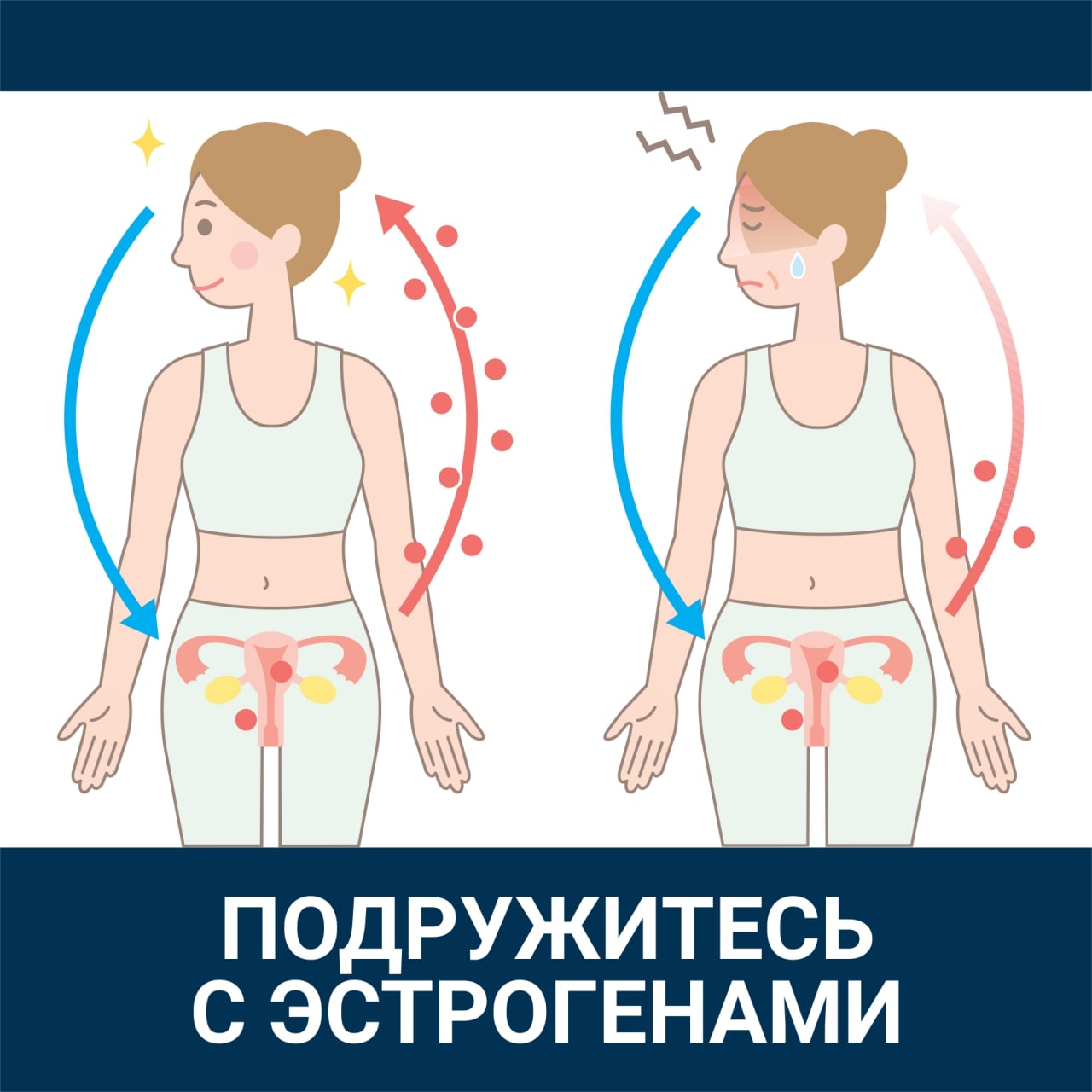 чем больше грудь тем больше эстрогенов в фото 65