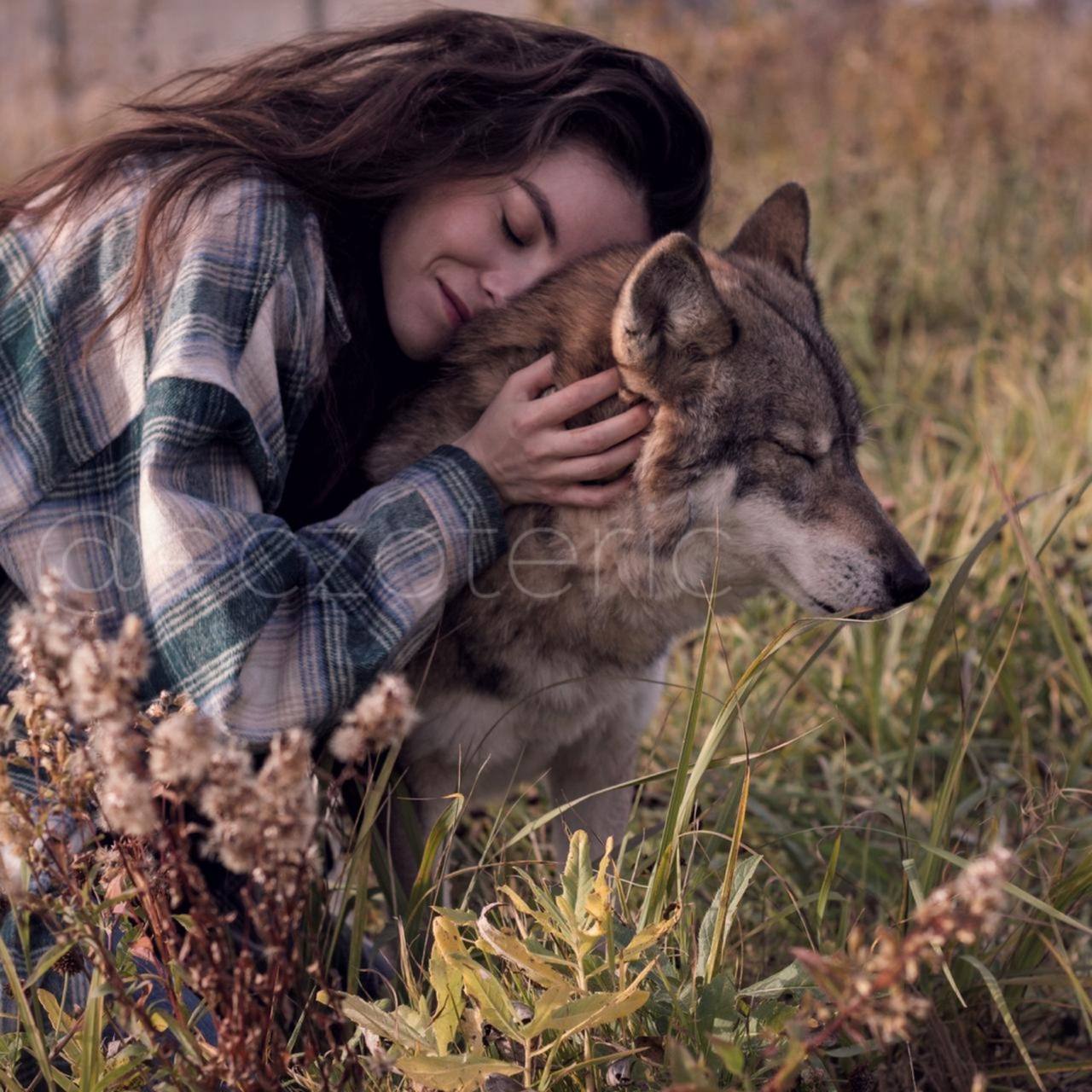 Бегущая с волками. Волкособ wolfriend. Волкособ Кристен Стюарт. Девушка Бегущая с волками.