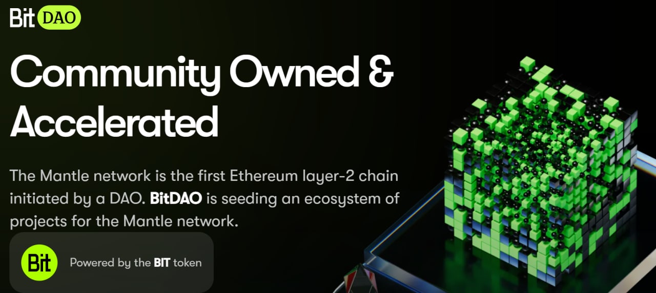 Сеть mantle network