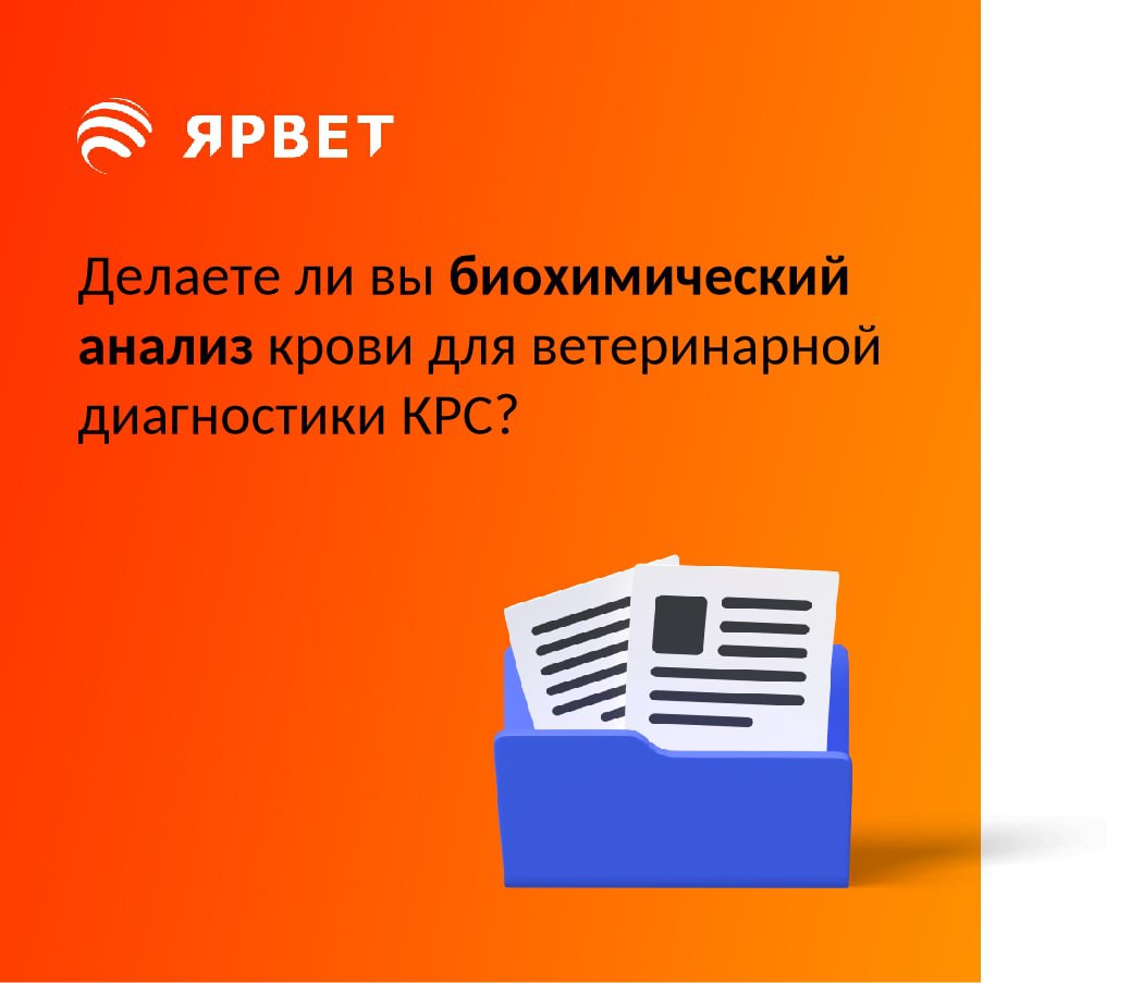 Ярвет товары для животных. Результаты анализа кормов Ярвет. Ярвет результатанализа кормов. Ярвет протокол анализа кормов. Ярвет ВК.