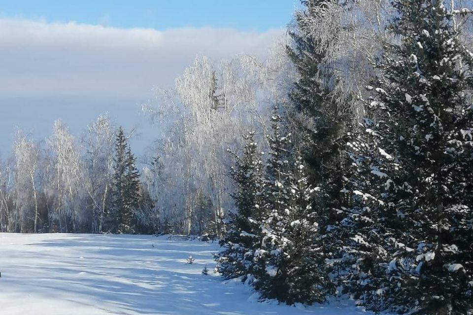 Погода саха на 10 дней. Морозы в Якутии. Якутия погода.