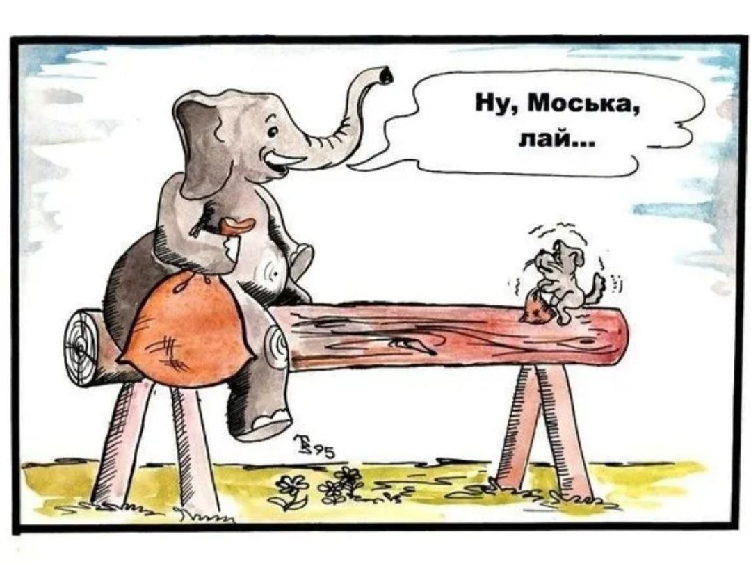 Слон и моська карикатура