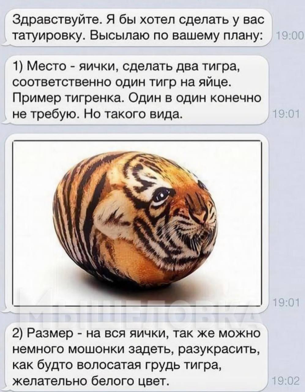 Тигр с яйцами