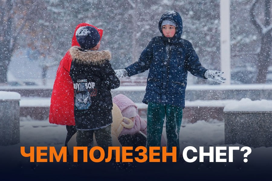 Снегопад предложения. Чем полезен снег. Ташкент зимой. Снег в Ташкенте. По холоду в школу.