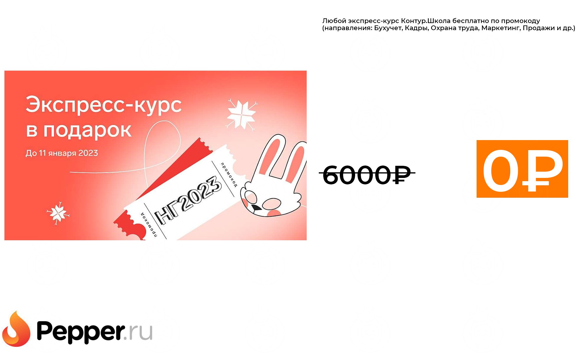 Контур курсы