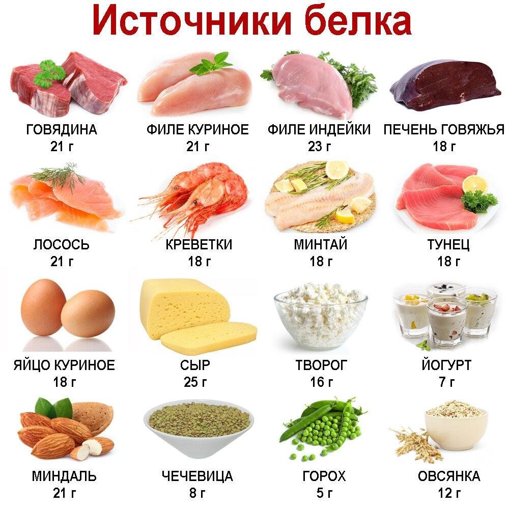 Продукты содержащие большое количество белка