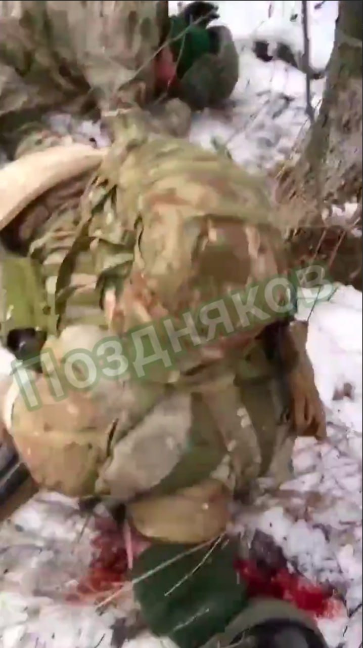 Жестокие видео в телеграмме с украины фото 10