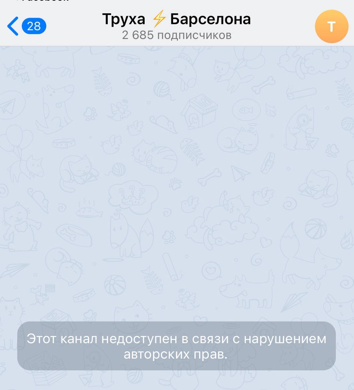 Труха телеграмм на русском фото 15