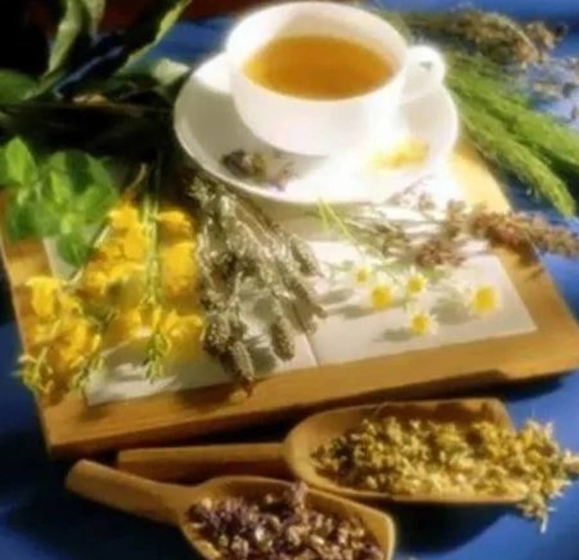 Травы рецепт молодости. Чай на травах. Трава молодости. Лекарственные растения в народной медицине. Травяной чай Аюрведа.