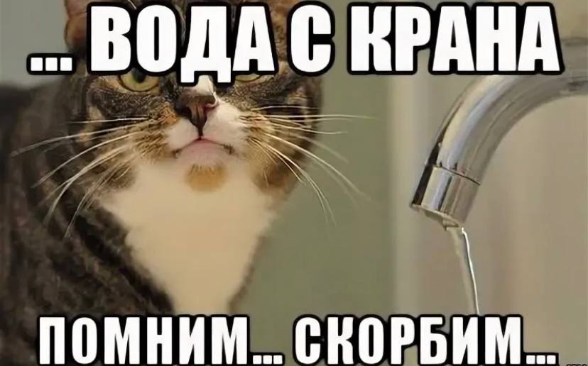 Включи выключи котов. Нет воды. Мемы про водоснабжение. Нет воды Мем. Мемы про воду.