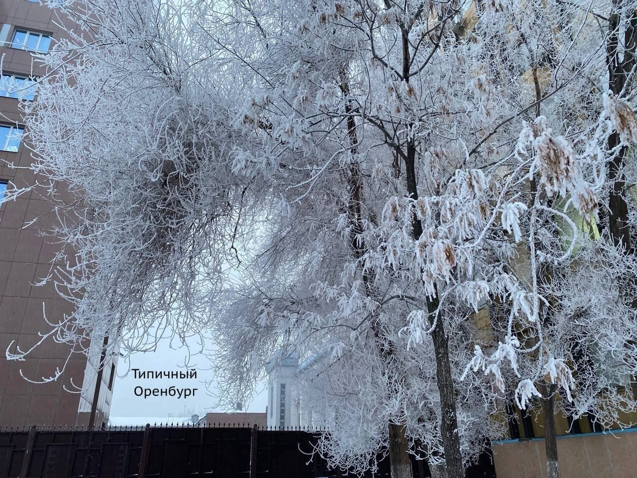 Оренбург зимой