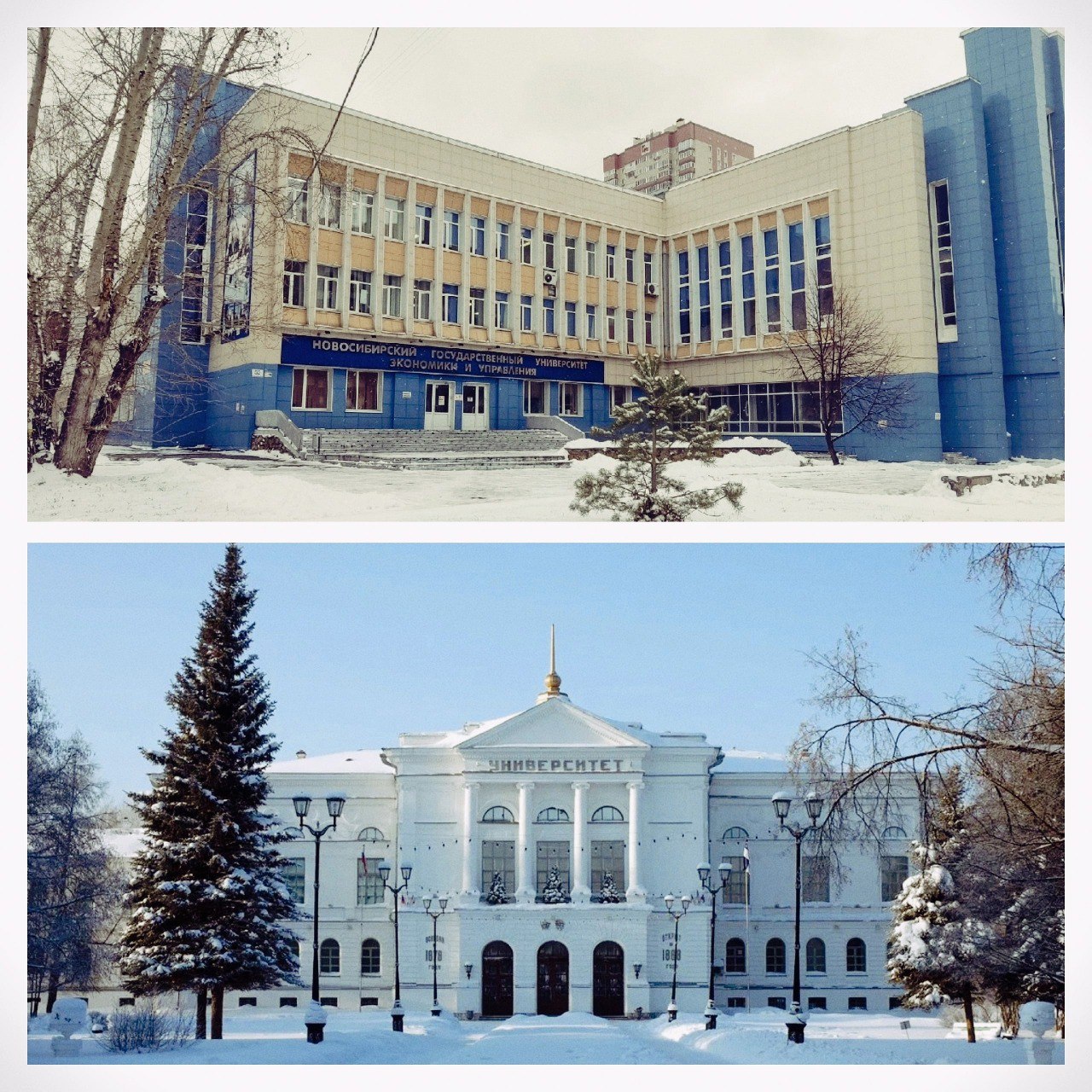 Сибирский университет екатеринбург. Новосибирский государственный университет экономики и управления. Ломоносова 56 Новосибирск НГУЭУ. Лучший университет в Сибири.