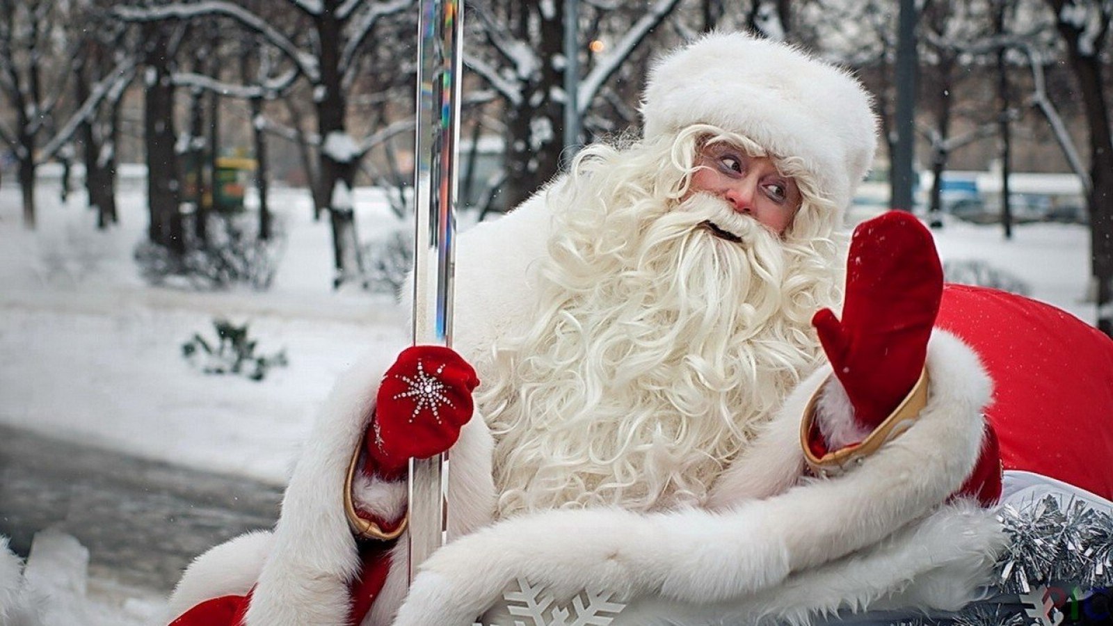 Фотография деда мороза. Дед Мороз. Русский дед Мороз. Красивый дед Мороз. Дед Мороз картинки.