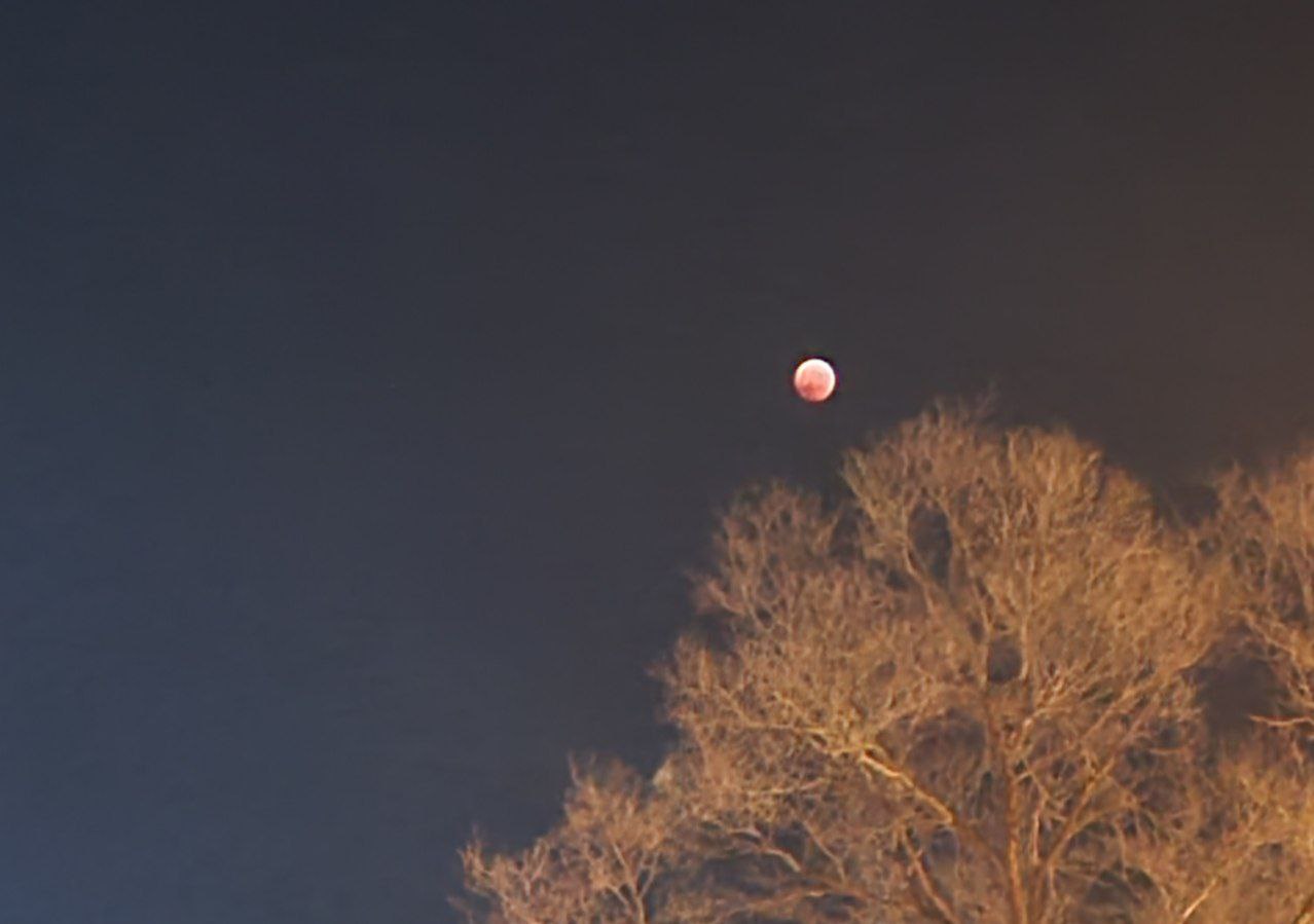 Затмение 8 апреля 2024 года видео. Кровавая Луна. Лунное затмение. Лунное затмение фото. Лунное затмение 8 ноября.