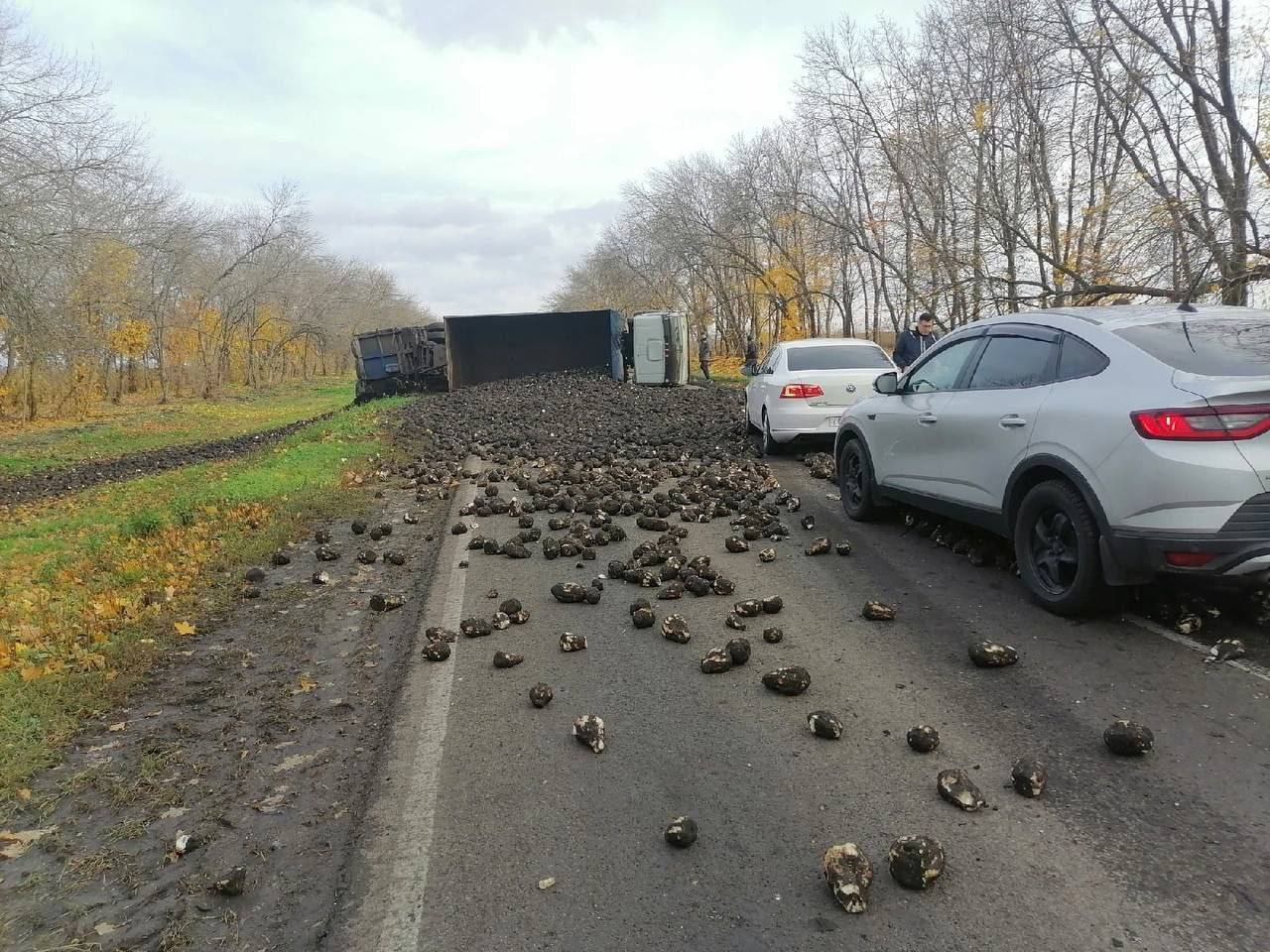 пицца в ровеньках белгородской области фото 92