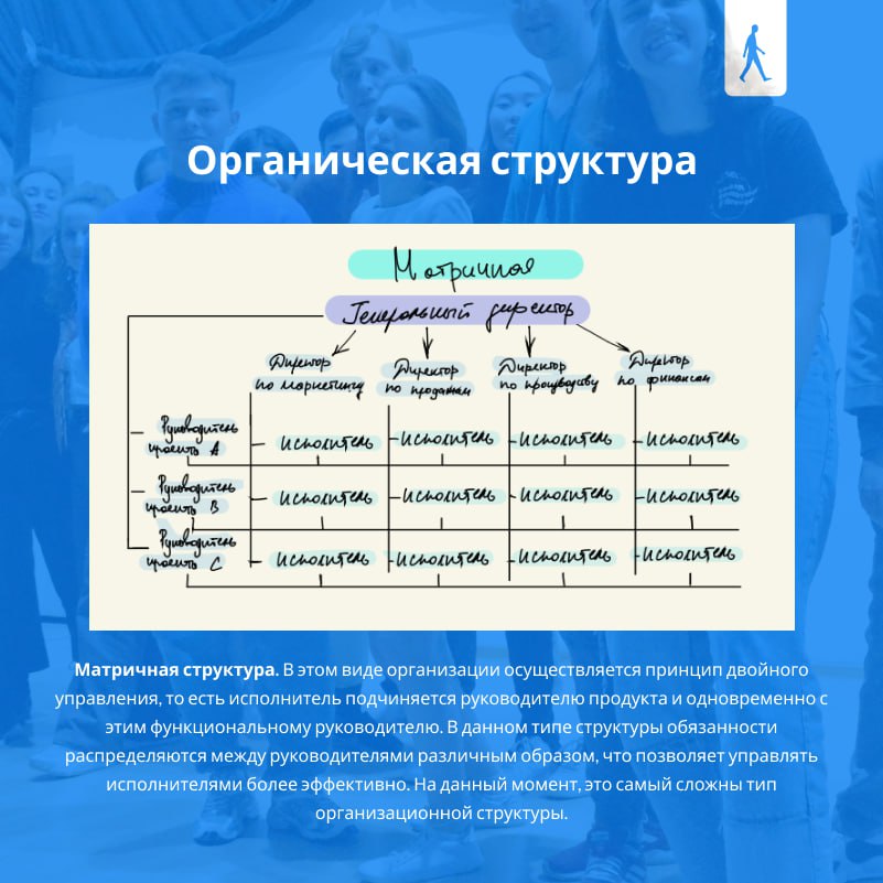 Органическая структура