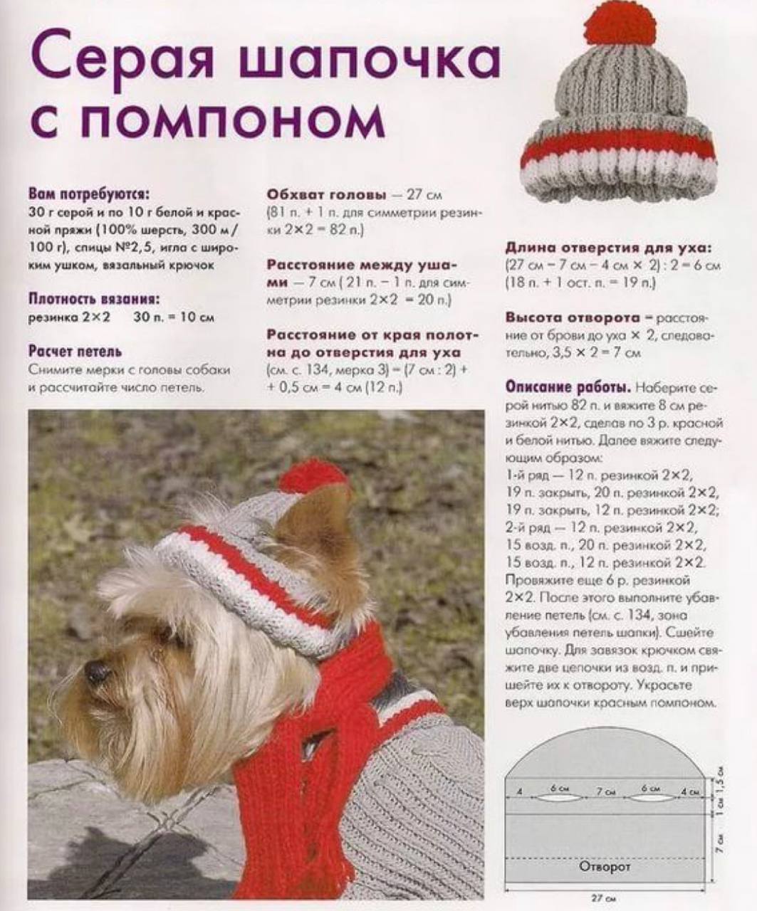 Схемы вязания шапки для собак мелких пород для начинающих